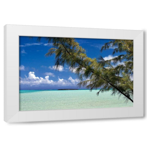 Sandbar Pelican Cay White Modern Wood Framed Art Print by Malvin, Larry