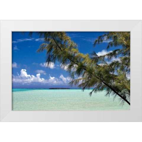 Sandbar Pelican Cay White Modern Wood Framed Art Print by Malvin, Larry