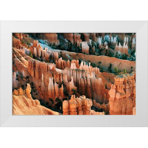 Bryce Spires I White Modern Wood Framed Art Print by Malvin, Larry