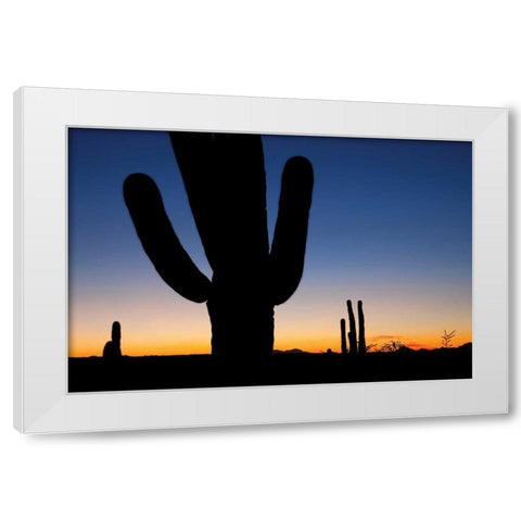 Clear Saguaro Sunset I White Modern Wood Framed Art Print by Malvin, Larry