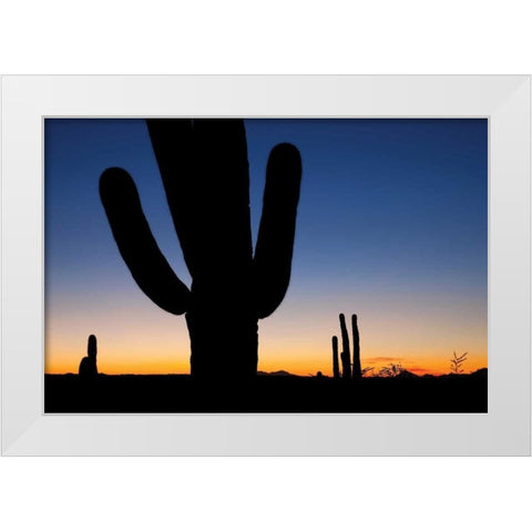 Clear Saguaro Sunset I White Modern Wood Framed Art Print by Malvin, Larry