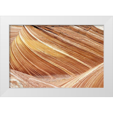 Wave Closeup White Modern Wood Framed Art Print by Malvin, Larry