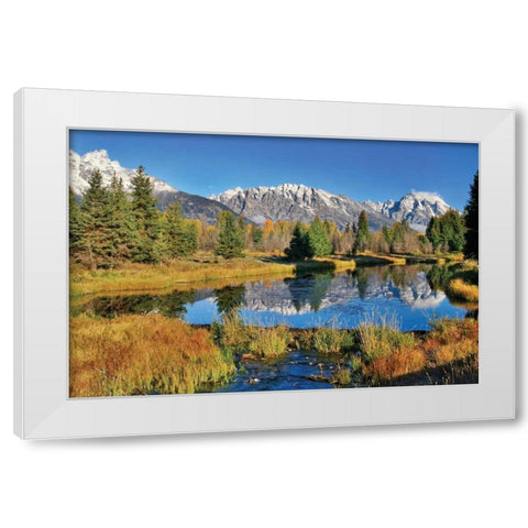 Schwabacher Pond White Modern Wood Framed Art Print by Malvin, Larry
