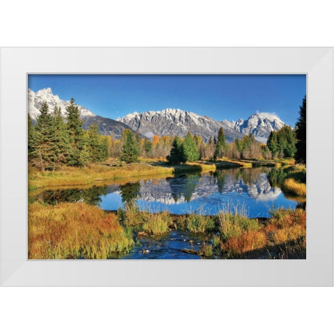 Schwabacher Pond White Modern Wood Framed Art Print by Malvin, Larry