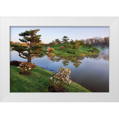 Botanic Dawn II White Modern Wood Framed Art Print by Malvin, Larry