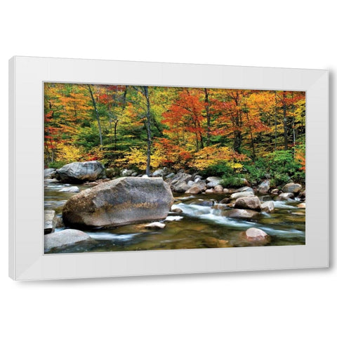 Swift River Pass Scenic White Modern Wood Framed Art Print by Malvin, Larry