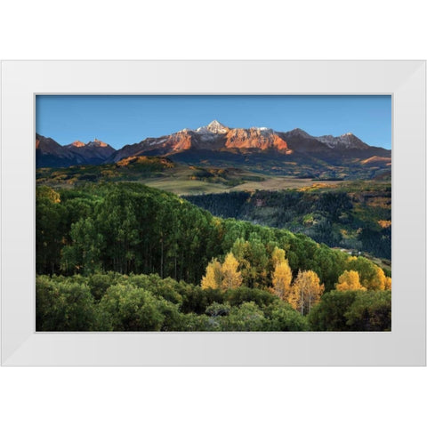 Wilson Peak Yellow Aspen Hills White Modern Wood Framed Art Print by Malvin, Larry