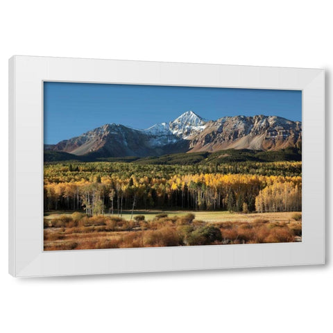 Wilson Peak Yellow Aspens White Modern Wood Framed Art Print by Malvin, Larry