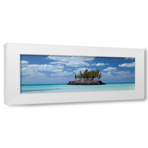 Gaulding Cay Conch Panel White Modern Wood Framed Art Print by Malvin, Larry