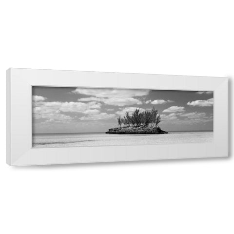 Gaulding Cay Conch BW Panel White Modern Wood Framed Art Print by Malvin, Larry