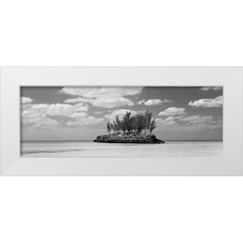 Gaulding Cay Conch BW Panel White Modern Wood Framed Art Print by Malvin, Larry