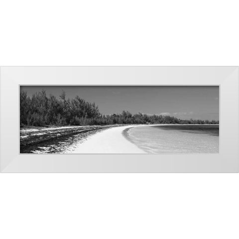 Winding Bay II BW Panel White Modern Wood Framed Art Print by Malvin, Larry