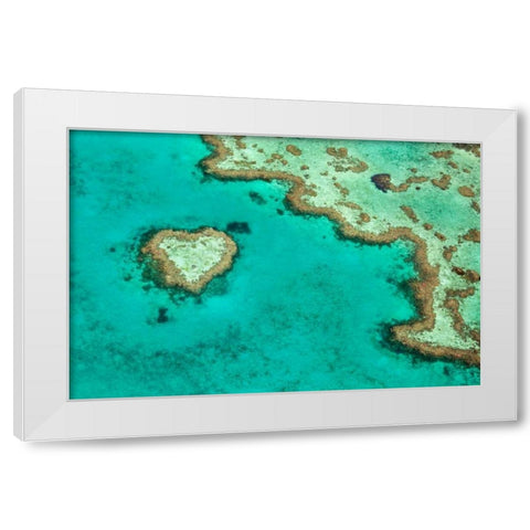 Great Barrier Reef II White Modern Wood Framed Art Print by Malvin, Larry