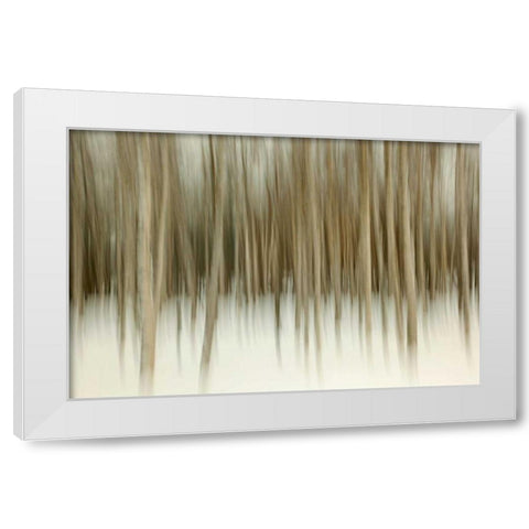 Birch Blur II White Modern Wood Framed Art Print by Malvin, Larry