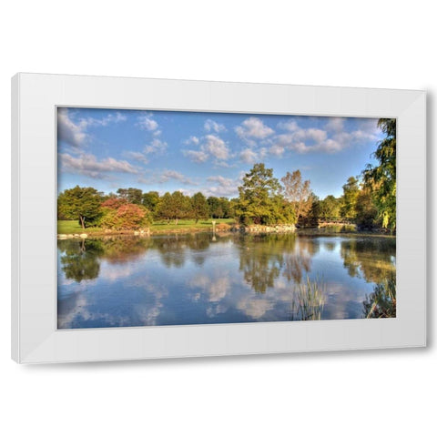 Flick Park Lake White Modern Wood Framed Art Print by Malvin, Larry