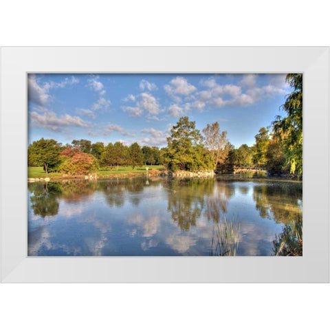 Flick Park Lake White Modern Wood Framed Art Print by Malvin, Larry