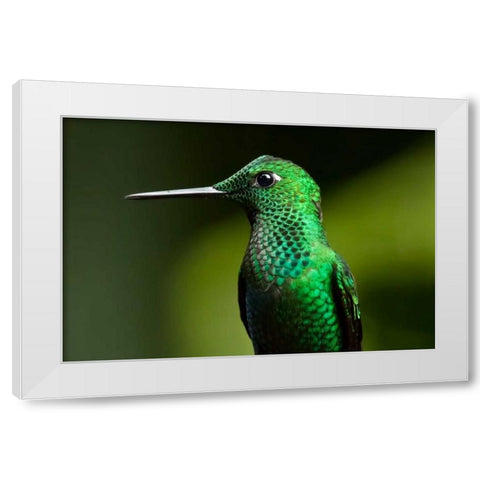 Steely Vented White Modern Wood Framed Art Print by Malvin, Larry