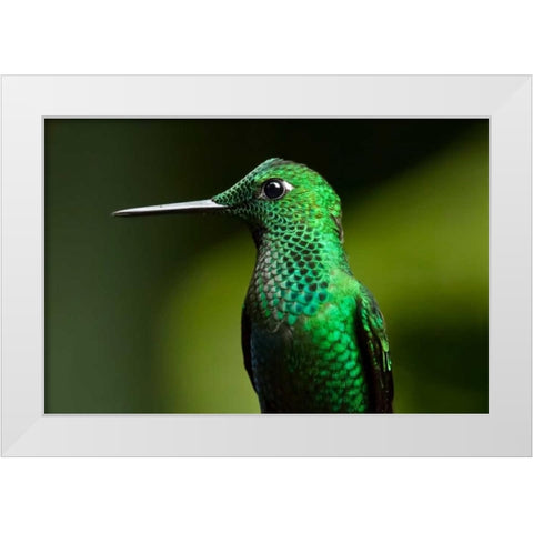 Steely Vented White Modern Wood Framed Art Print by Malvin, Larry