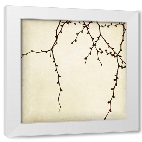 Branches II White Modern Wood Framed Art Print by Melious, Amy
