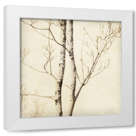 Winter Trees II White Modern Wood Framed Art Print by Melious, Amy