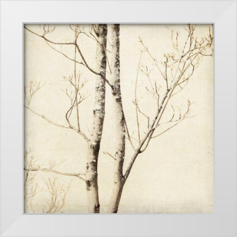 Winter Trees II White Modern Wood Framed Art Print by Melious, Amy