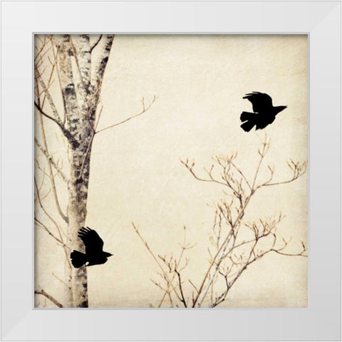 In Flight I White Modern Wood Framed Art Print by Melious, Amy