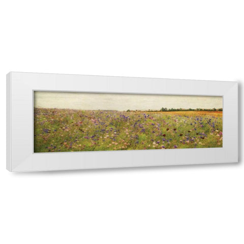 Wildflower Field I White Modern Wood Framed Art Print by Melious, Amy