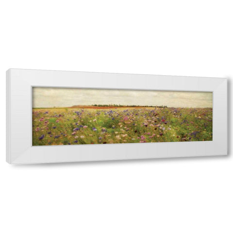 Wildflower Field II White Modern Wood Framed Art Print by Melious, Amy