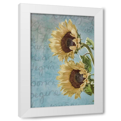 Sunflowers II White Modern Wood Framed Art Print by Mahan, Kathy