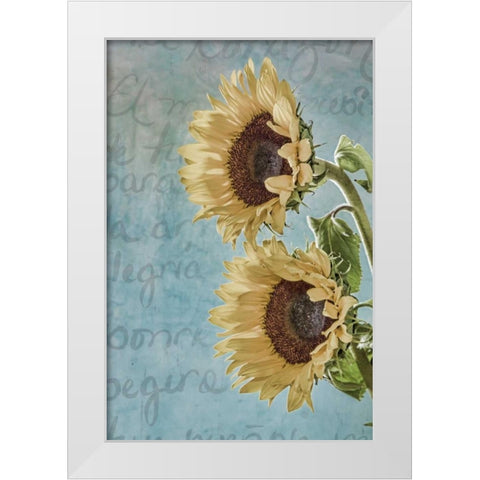 Sunflowers II White Modern Wood Framed Art Print by Mahan, Kathy