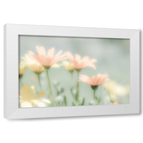 Desert Flowers II White Modern Wood Framed Art Print by Mahan, Kathy