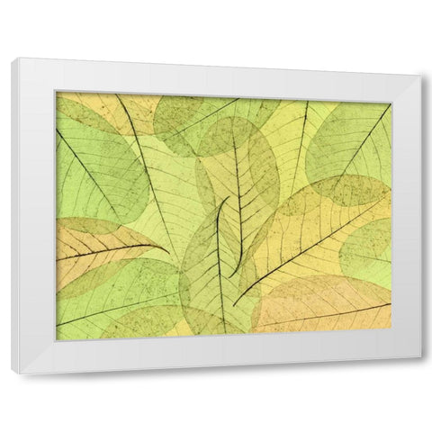 Leaf Collage I White Modern Wood Framed Art Print by Mahan, Kathy