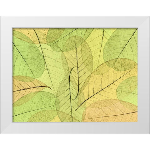 Leaf Collage I White Modern Wood Framed Art Print by Mahan, Kathy