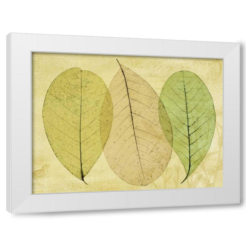 Leaf Collage II White Modern Wood Framed Art Print by Mahan, Kathy