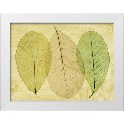 Leaf Collage II White Modern Wood Framed Art Print by Mahan, Kathy