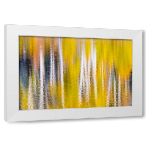 Reflections of Fall I White Modern Wood Framed Art Print by Mahan, Kathy