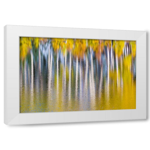 Reflections of Fall II White Modern Wood Framed Art Print by Mahan, Kathy