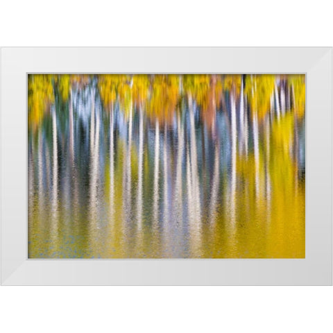 Reflections of Fall II White Modern Wood Framed Art Print by Mahan, Kathy
