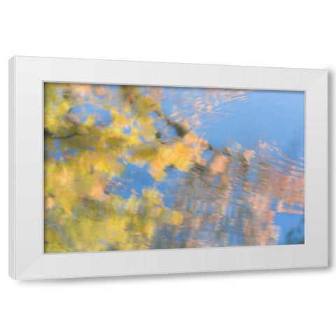 Tree Reflections II White Modern Wood Framed Art Print by Mahan, Kathy