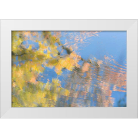 Tree Reflections II White Modern Wood Framed Art Print by Mahan, Kathy
