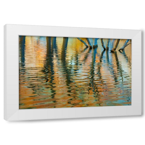 Lake Powell Reflections I White Modern Wood Framed Art Print by Mahan, Kathy