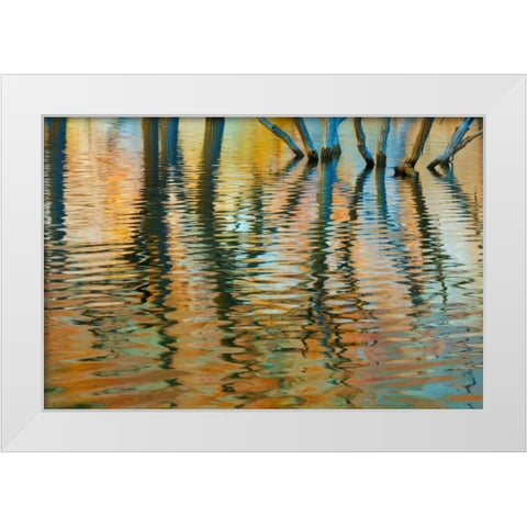 Lake Powell Reflections I White Modern Wood Framed Art Print by Mahan, Kathy