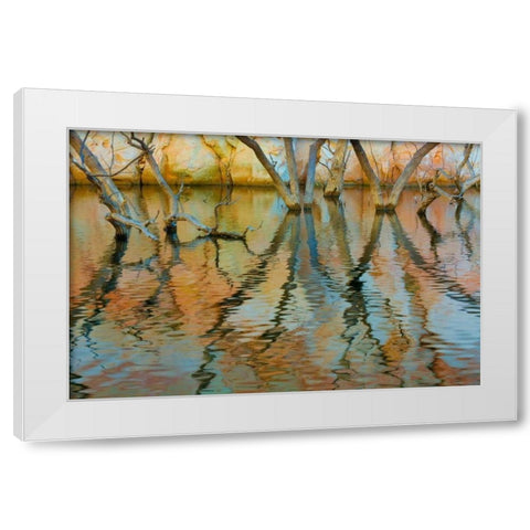 Lake Powell Reflections II White Modern Wood Framed Art Print by Mahan, Kathy