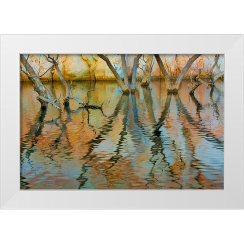 Lake Powell Reflections II White Modern Wood Framed Art Print by Mahan, Kathy