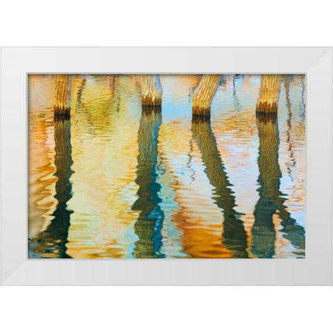 Lake Powell Reflections III White Modern Wood Framed Art Print by Mahan, Kathy