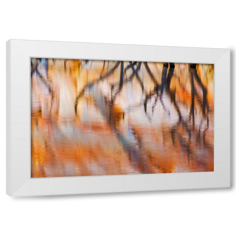 Lake Powell Reflections IV White Modern Wood Framed Art Print by Mahan, Kathy