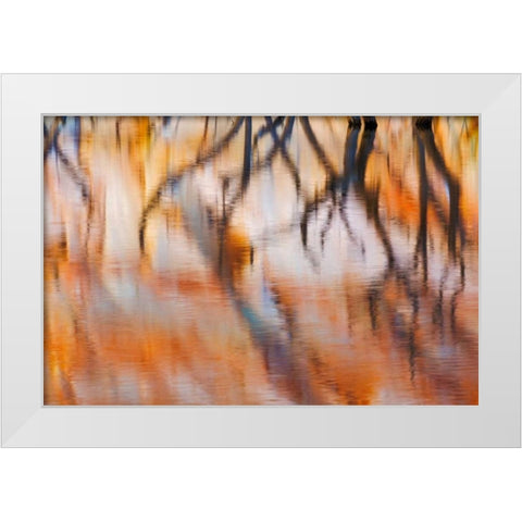 Lake Powell Reflections IV White Modern Wood Framed Art Print by Mahan, Kathy