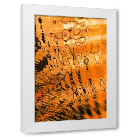 Golden Reflection I White Modern Wood Framed Art Print by Mahan, Kathy