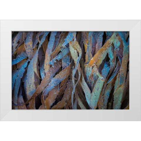 Sculptural Metal VII White Modern Wood Framed Art Print by Mahan, Kathy