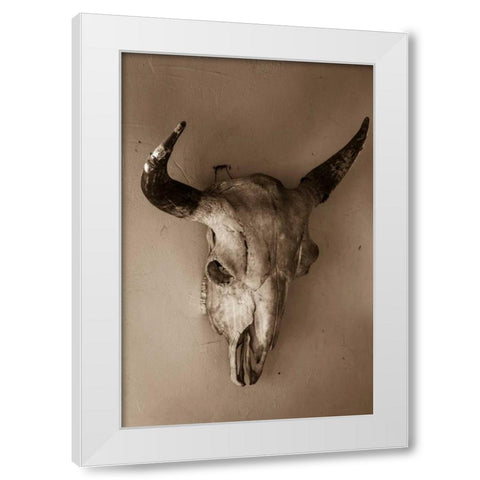 Steer Skull White Modern Wood Framed Art Print by Mahan, Kathy
